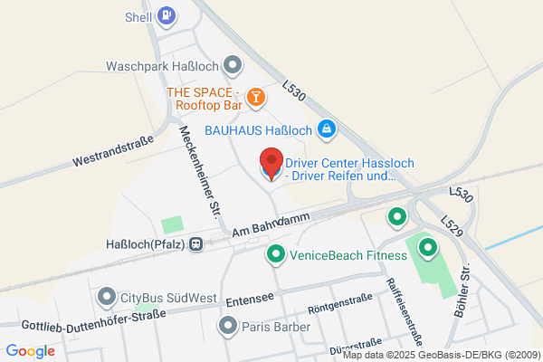 Dienst