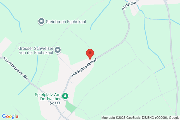 Videodroom