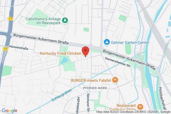 Kentucky Fried Chicken