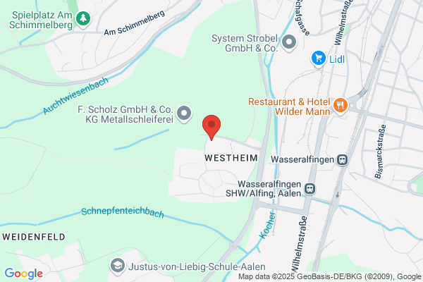 Steinbeis-Transferzentrum Prof.
