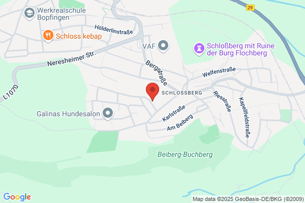 Verein für Schäferhunde OG Bopfingen