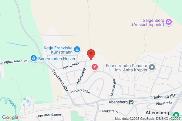 Dipl.-Ing.FH Franz Fröhler