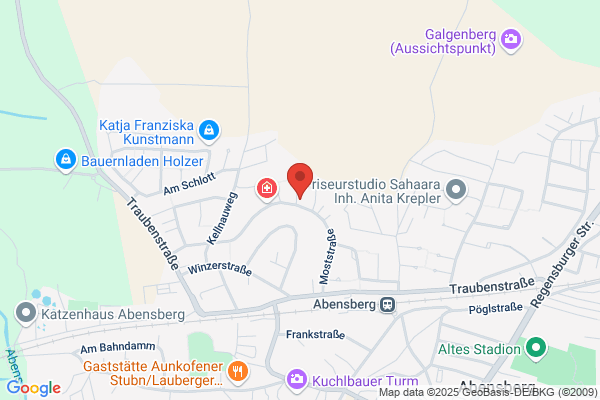 Fahrservice, Mietwagen-Gebbing