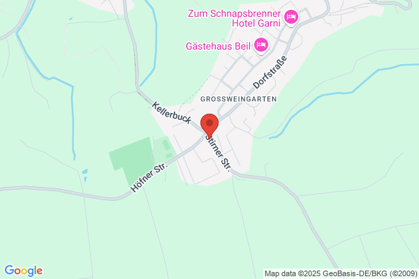 Golden Lion Enterprise GmbH