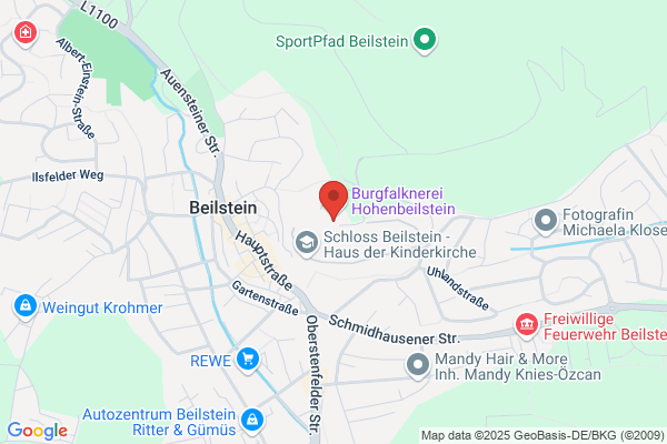 Mayer's Burgrestaurant Hohenbeilstein
