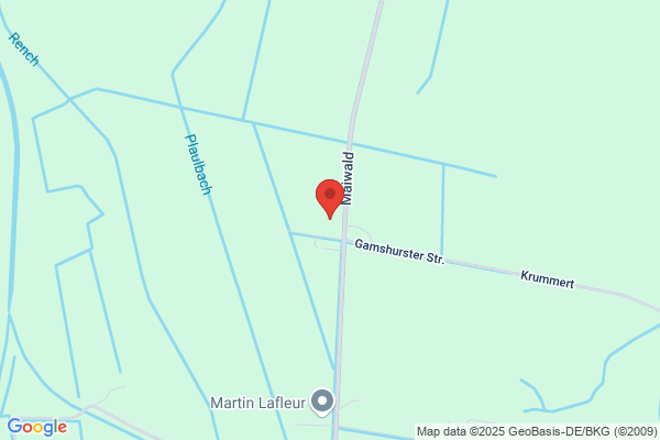 ZIELSTEIN