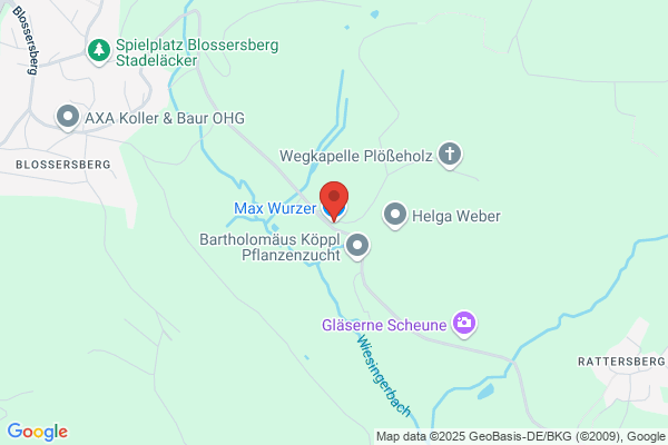 G. Wurzer
