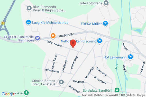 Zu den Birken