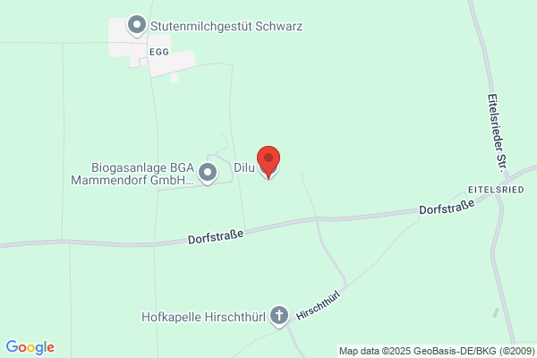 Dilu GmbH