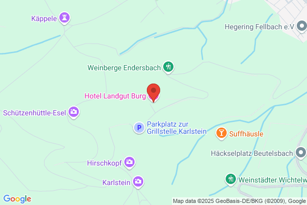 Land-gut-Hotel zur Burg