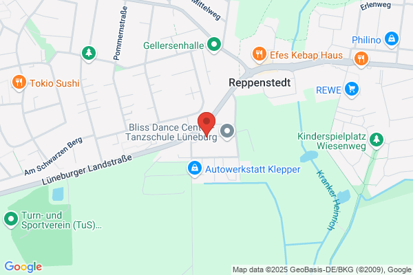 anemos GmbH