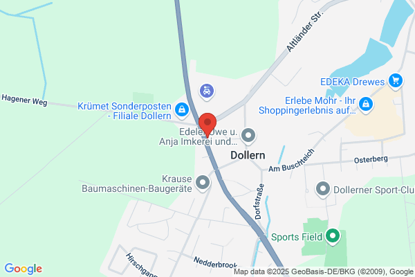 DTS Dental-Technik-Schmidt GmbH