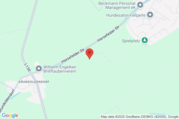 Dammann und