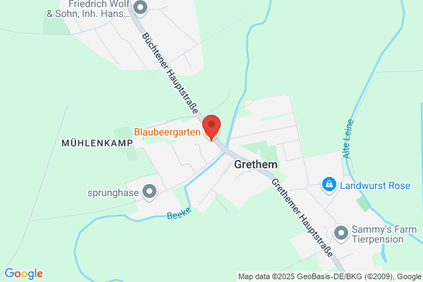 Blaubeergarten