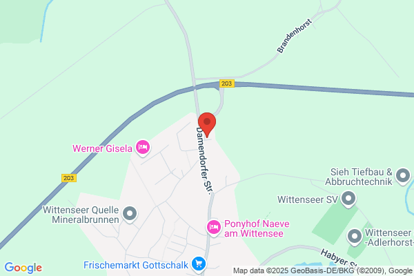 Holger Blunck