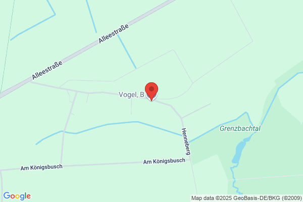 Vogel Baugeschäft