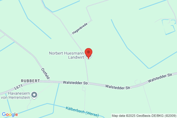 Bernhard Westhues