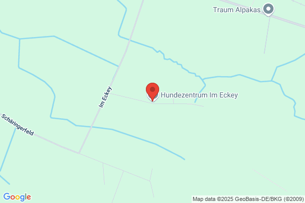 Bentja's Hundeschule Hundeglück