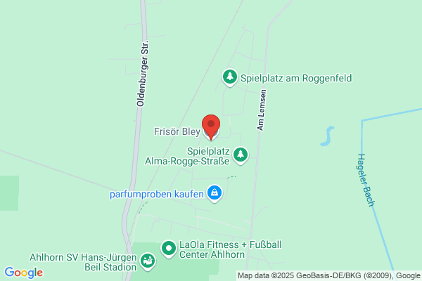 Friseur Bley