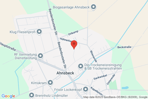 Das Steckenpferd Ursula Dech