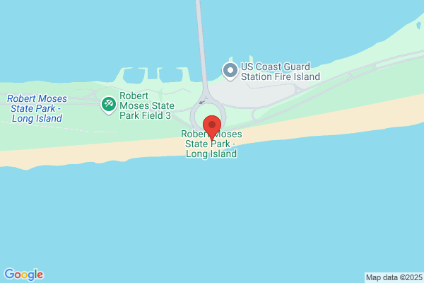 Robert Moses
