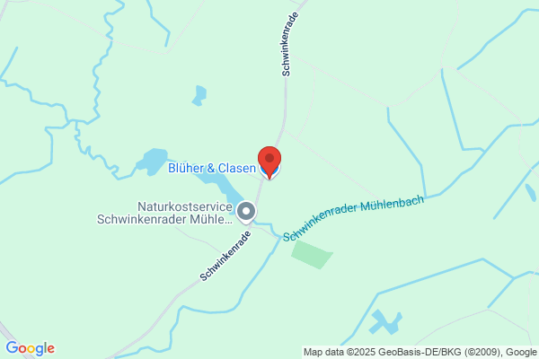 Blüher & Clasen Schornsteinsanierung
