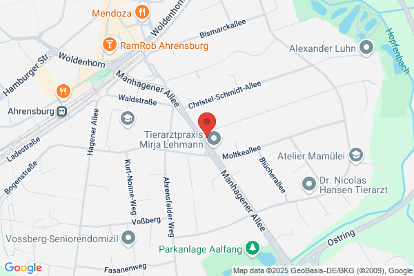Dr.med. Friederike Toebe