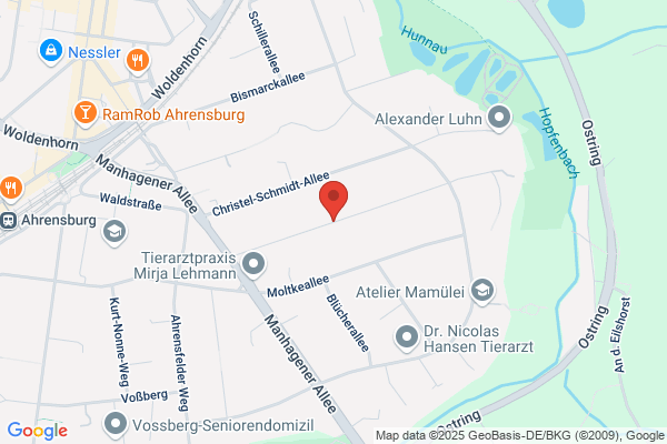 METIS Gesellschaft für Informationsverarbeitung und Unternehmensforschung GmbH