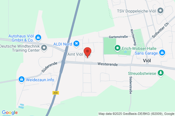 Amt Viöl