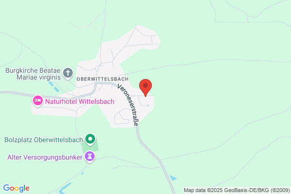 Gisela Frede