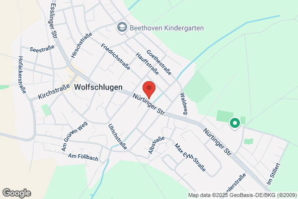 Sonja's Hairflair
