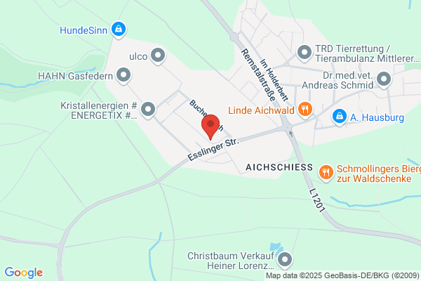 Autohaus Eber Ford Händler