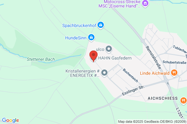 Hahn Gasfedern GmbH