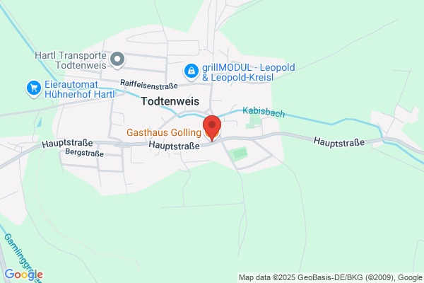 Gasthaus Golling