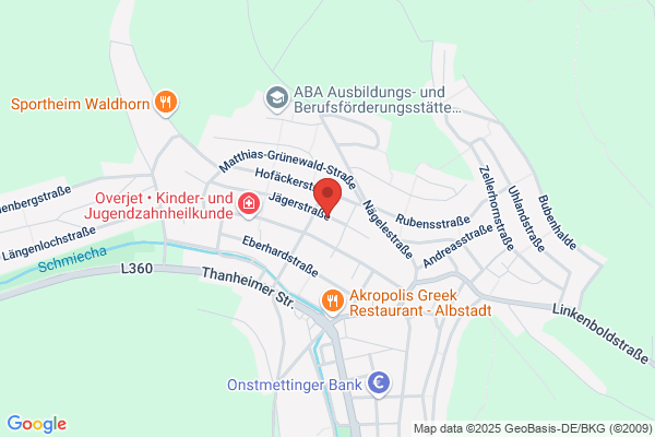 Zehnder Zimmerei GmbH & Co. KG