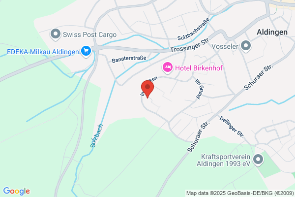 Ing. Fred P. Langheinrich