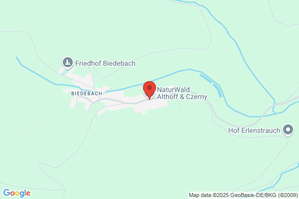 Galabau Baumpflege Dreyer & Althoff