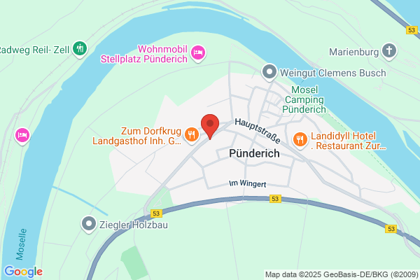 Concise Schneiders Katrin