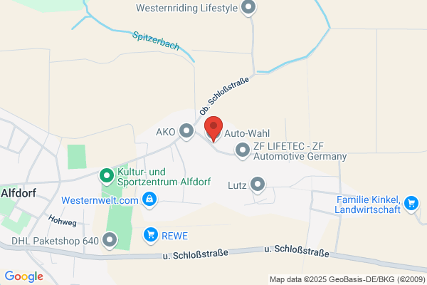 Wahl Auto-Werkstatt
