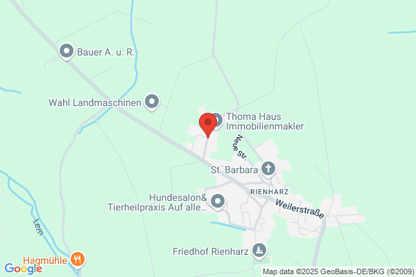 Rienharz