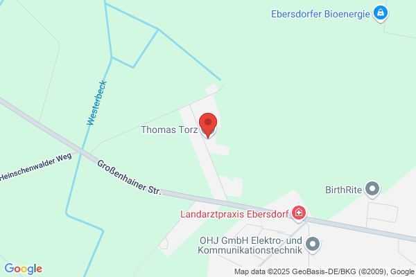 Thomas Torz