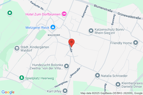 Stuckgeschäft Laufenberg
