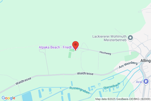 Alpake Beach Th. und St. Friedl