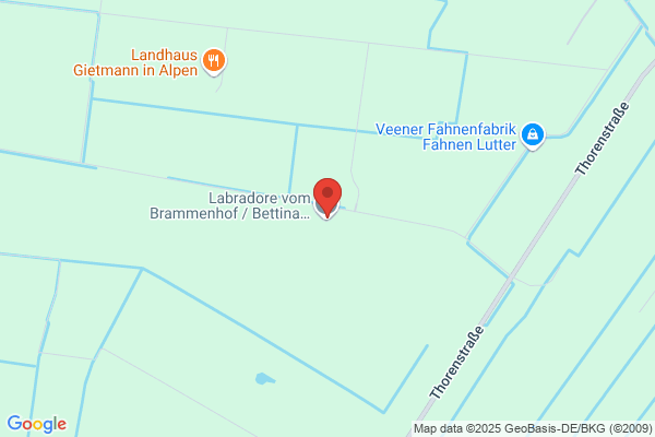 Bronchofit GmbH