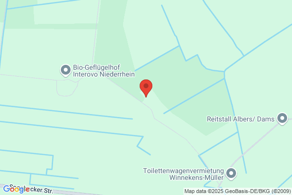 KONZEPTGRÜN