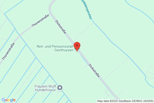 Immobilien GmbH Gesthuysen Bernhard