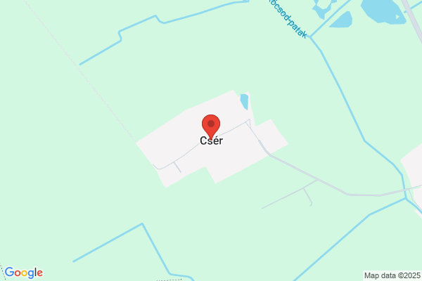 Zoltan Cser