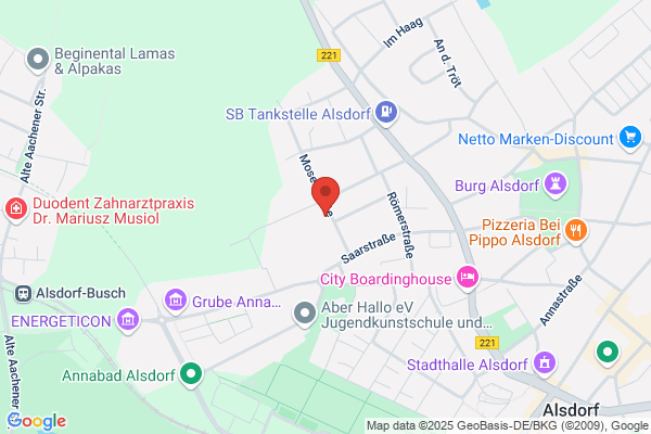 Daniel M & P Media TV Pelzer