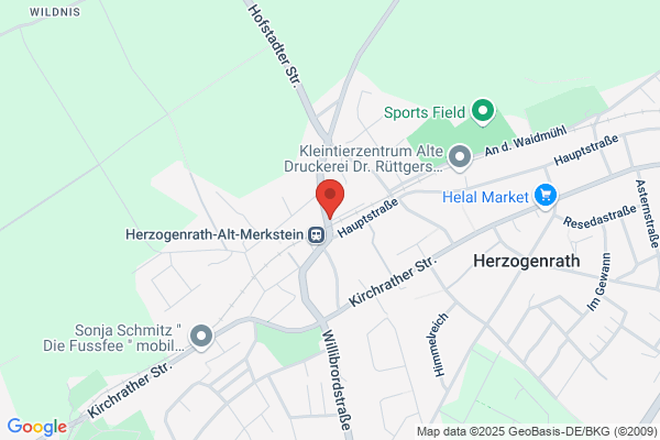 Physio für Vier Pfoten