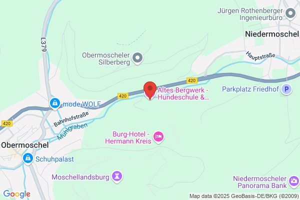 Molter's Hundeschule